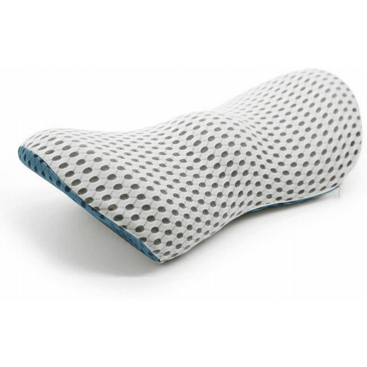 Contoured mesh lumbar support cushion on chair